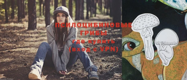 дурь Сафоново