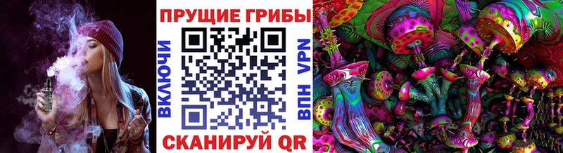 hydra ТОР  Алдан  Псилоцибиновые грибы Psilocybe 